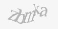 Защитный код